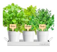 Mini Huerto Urbano Vintage de Plantas Aromáticas Cocina (Tomillo, Cilantro y Salvia) - Semillas Orgánicas de España - Kit Plantas aromaticas para Cultivar tus Hierbas Frescas - Huerto en casa