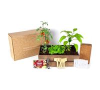 Mini Huerto Urbano Vintage - Semillas Orgánicas de España - (Lechuga, Rábanos, Pimientos Verdes y Tomates Cherry) - Kit Completo para Cultivar tus Hortalizas Frescas en Casa