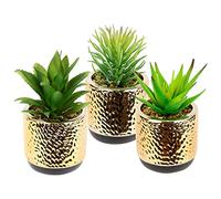 Mini juego de plantas suculentas en maceta de cerámica dorada con piedras decorativas, plantas artificiales en maceta, plantas verdes, agaves, cactus, plantas suculentas, plantas de interior