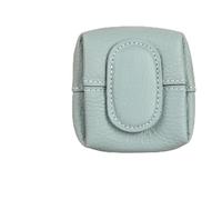 Mini Lychees Pattern Coin Purse, Women Japanese Small Change Holder Pouch Wallet,Portable Leather Storage Bag Buckle Key (Sky Blue)