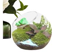 Mini maceta de terrario de vidrio - Jarrón decorativo con inclinada | Elegante recipiente de jardín interior para uso en el jardín, creativo Home Display - pieza central para plantas suculentas