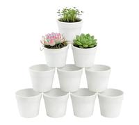 Mini macetas para suculentas,Set de 10 Maceteros Portátiles | para Cactus, Bonsái, Escritorio, Ventanas, Oficina, Hogar, Interior, Exterior, Jardín, Patio, Balcón,para Oficinas en Casa, Repisas, Estan