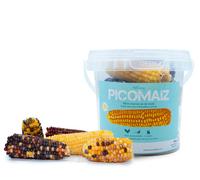 Mini Mazorcas de Maíz para gallinas y Conejos - PicoMaíz - Snack 100% Natural para roedores y Aves - 240 g - Ayuda al Desgaste de Dientes y Pico