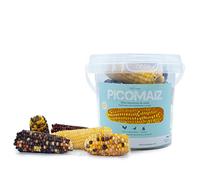 Mini Mazorcas de Maíz para gallinas y Conejos - PicoMaíz - Snack 100% Natural para roedores y Aves - 240 Gramos - Ayuda al Desgaste de Dientes y Pico