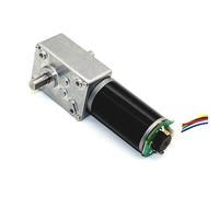 Mini motor eléctrico tubular de CC con codificador, reductor de engranajes helicoidales de ángulo recto de bajo ruido, motores reductores de doble eje de 12 V/24 V.(Only Motor,40R,24V)