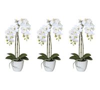 Mini orquídea Phalaenopsis artificial maceta de cerámica, UE 3 unid.