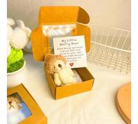 Mini Osito de Peluche Hecho a Mano en Caja con Tarjeta Inspiradora - Osito en Caja "Little Worry Bear", Oso de abrazo de bolsillo - Regalo de apoyo emocional para familiares, amigos, amantes, mujeres