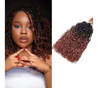 Mini Pasión Twist Crochet Hair 14 Pulgadas Yanky Twist Trenzas Crochet Extensiones de Pelo Corto Kinky Twist 5 Paquetes, 15 Mechones/Paquete