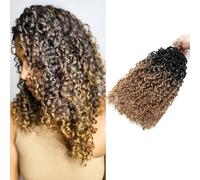Mini Pasión Twist Crochet Hair 14 Pulgadas Yanky Twist Trenzas Crochet Extensiones de Pelo Corto Kinky Twist 5 Paquetes, 15 Mechones/Paquete