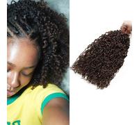 Mini Pasión Twist Crochet Hair 14 Pulgadas Yanky Twist Trenzas Crochet Extensiones de Pelo Corto Kinky Twist 5 Paquetes, 15 Mechones/Paquete