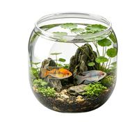 Mini Pecera Acuario Decorativo Transparente