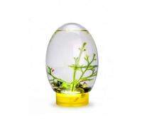 Mini pecera, pequeño acuario de escritorio con luz LED, ecosistema autosuficiente, sin necesidad de alimentar o cambiar el agua, pecera de escritorio, ecosistema de biosfera, pecera para oficina en
