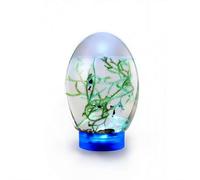 Mini pecera, pequeño acuario de escritorio con luz LED, ecosistema autosuficiente, sin necesidad de alimentar o cambiar el agua, pecera de escritorio, ecosistema de biosfera, pecera para oficina en