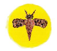 Mini Pops Junior - Koma [Vinilo]