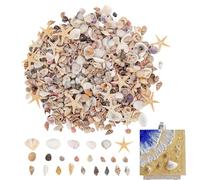Mini Seashells - 1000pcs Seashells for Crafts , Tiny Shells & Starfish Mix for DIY Crafts, Natural Beach Shell Assortment for Art Projects | Aquarium Decor Wedding Party Classroom Home Decoration Use