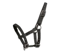 Mini-Shetty Halfter, schwarz