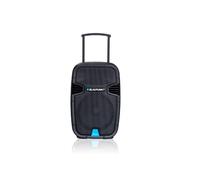 Mini sistema - BLAUPUNKT - PA12 - 650 W - 2x RCA (entrada de línea) - MP3/WMA
