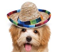 Mini sombrero, sombrero mexicano tradicional de paja trenzada - Banda decorativa de tesa ancha para niños y animales