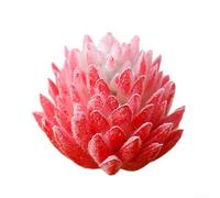 Mini suculenta falsa para tema de bonsái para escritorio, decoración del hogar, jardín, terrario, centro de mesa, caja de flores, ramo de corona, interior y exterior, espacio de vida (rojo)