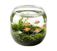 Mini Tanque De Acuario - Contenedor De Pescado Redondo De 20 Cm, Habitat Betta Decorativo Sostenible | Cuenco De Oficina Inquebrantable, Aula, Dormitorio, Oficina, Restaurante, Bar, Appa