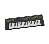 Mini Teclado Sintetizador Portátil De 37 Teclas Para Adultos Teclado Electrónico De Rendimiento Profesional(Black)
