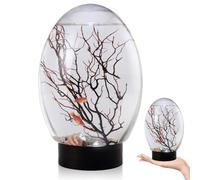 Mini Tistana de Pescado, Aquario de Escritorio pequeño con luz LED, ecosistema autosuficiente, sin Necesidad de Alimentar o Cambiar el ecosistema acuático Cerrado de Agua para el Ministerio del Inter