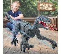 Mini Tudou 2.4G Juguetes de Dinosaurio con Control Remoto, Velociraptor electrónico Educativo para Caminar con Luces y Sonidos, Juguetes Robot de Dinosaurio alimentados por batería Recargable