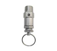 Mini válvula de alivio de presión BSPT de 1/8" y 1/4", acero inoxidable SS304, sello de PTFE, ajustable de 0,5 a 10 bar(1/8 inch,2bar)