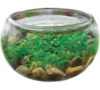 Mini WaterPlants - Crea tu propio kit de iniciación relajante Aquasacape, terrarios de cristal para plantas de interior con suministros completos, solo tienes que añadir agua, paquete de 3