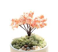 Miniatura Árbol Hada Jardín Decoración Dollho Planta Maceta Figura DIY Artesanía Adorno Cerezo Durabilidad