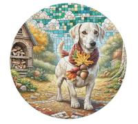 Miniature Dachshund 68 Piezas Rompecabezas Decorativo Hogar Animales Formas Irregulares Cute Pet Animals Puzzle Niños Construir Maquetas Decoración Juego Familiar 68 PCS