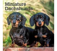 Miniature Dachshunds 2027 12 X 24 Inch (Hanging) Monthly Square Wall Calendar Plastic-Free: Original BrownTrout-Kalender [Mehrsprachig] [Kalender]