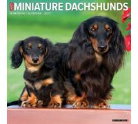 Miniature Dachshunds 2027 Wall