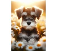 Miniature Schnauzer Puppy face Notebook - Large 6 x 9 inches - 127 Pages