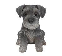 Miniature Schnauzer puppy pet pal by Vivid Arts