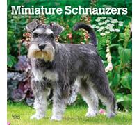Miniature Schnauzers - Zwergschnauzer 2027 - 16-Monatskalender: Original BrownTrout-Kalender [Mehrsprachig] [Kalender] (Miniature Schnauzers | 2027 12 ... | BrownTrout | Animals Small Dog Breeds)