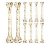 Miniature Skeleton Bones for Crafts - 10x1.8x1.8cPre-Drilled Skin-Friendly