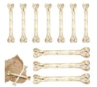 Miniature Skeleton Bones for Crafts - Pre-Drilled Skin-Friendly Ornaments