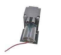 Minibomba de agua autocebante con escobillas de CC, 2 l/min, 12 V, 24 V(12V)