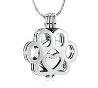 Minicremation Collar para cenizas de cremación de mascotas, collar para cenizas y cenizas, collar de cenizas de acero inoxidable para mujeres y hombres, Mittelgroße, Acero inoxidable, No es una piedra