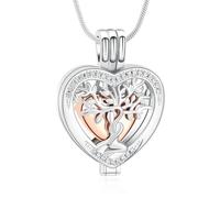 Minicremation Joyería de Cremación Árbol de la Vida Urna Corazón de Cristal Cenizas de Ser Querido Collar para Mujeres Funerario Memorial Recuerdo Collar Portacentizas, Acero inoxidable, No es una