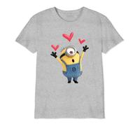 Minion Monsters Boutmints022 Camiseta, Gris Multicolor, 14 años para Niños