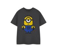 MINIONS Camiseta para niños en color carbón, camiseta gráfica clásica para niños unisex, camiseta de manga corta casual de película | Ropa de personaje de Mi villano favorito, gris oscuro, 7-8 años