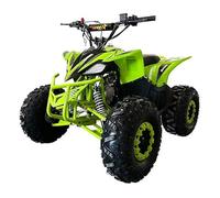 Miniquad MTR KF 125cc ruedas 8" con pantalla TFT integrada