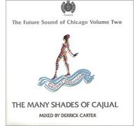 Ministry Of Sound - The Future Sound of Chicago, Vol. 2: The Many Shades of Cajual
