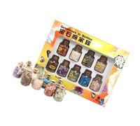 minkissy 1 Juego Espécimen mineral presentes originales minerales naturales botellas chips cristal mini botellas piedras preciosas mineral natural muestras piedra en caja