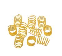 minkissy 10 Uds Muelles Helicoidales para Gatos Juguetes para Masticar Juguetes para Gatos Juguetes para Gatos Gatitos Suministros para Mascotas