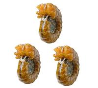 minkissy 3 Piezas Fósil De Caracol Nueva Decoraciones De Autos Para Mujeres Feng Shui De Piedra De Concha Regalos De Brujas Piedra De Cristal Decoración De Piedra Delicado