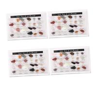 minkissy 4 Juegos Mineral Natural Kit Colección Fósiles Minerales Equipo Geología Regalo Ciencia Decoración Mesa Desk Decoration Roca Completa Modelo Piedra Natural Niño Joya