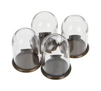 minkissy Cúpulas de Cristal Transparente para Micro Paisajes 4 Unidades 25X38 MM con Base Metálica para Exhibición y Conservación de Flores Preservadas en Casas de Muñecas Decorativas